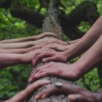 Mãos humanas tocando juntas um tronco de árvore simbolizando compaixão